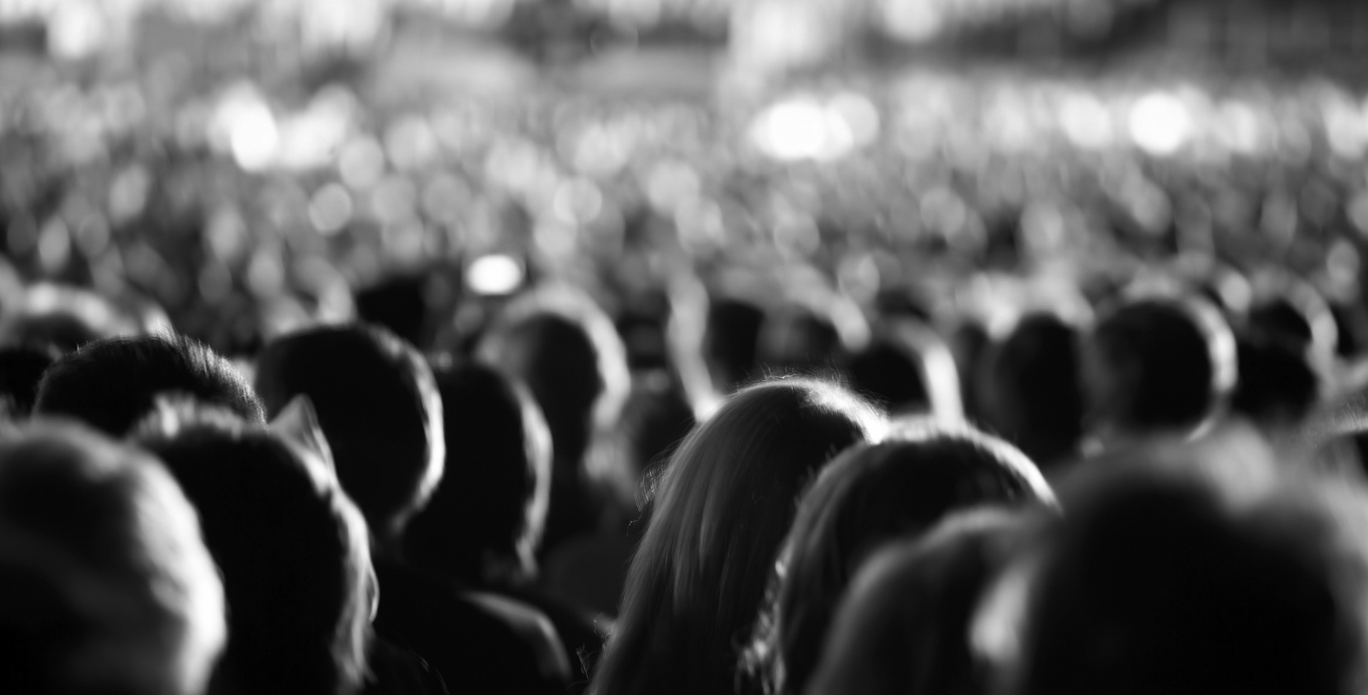 Özel Yazılım Referans